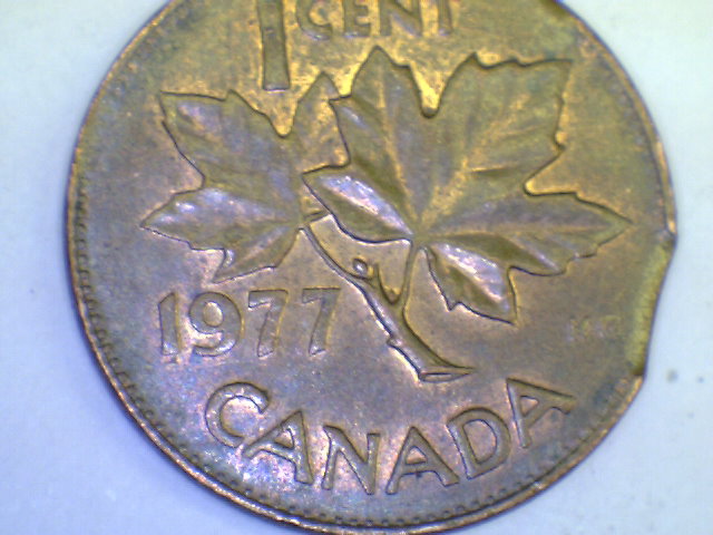 Cool-Canadian-Cent-Roll-Finds-From-Bank-Rolls-Post-Yours!